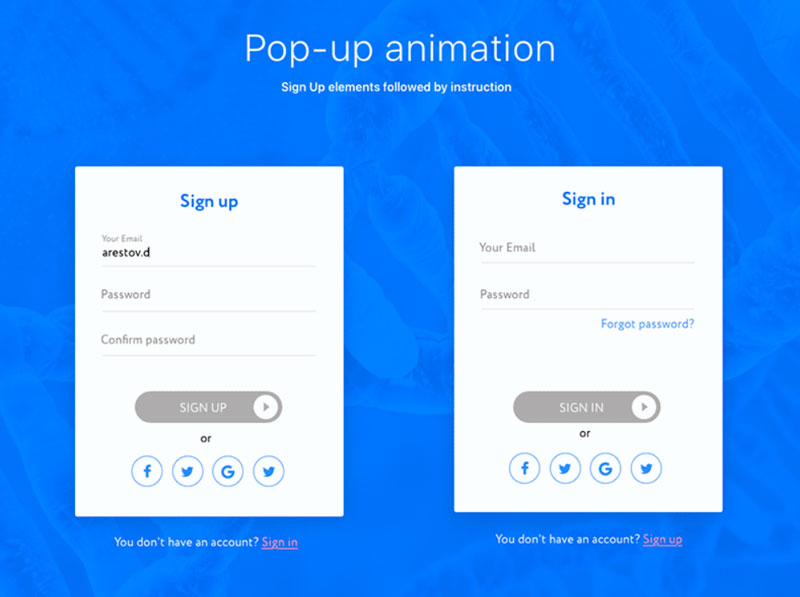 screenshot of animated input auth example
